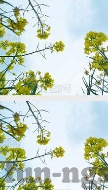 水果机游戏手机版下载手机版-水果机游戏，掌中娱乐新体验